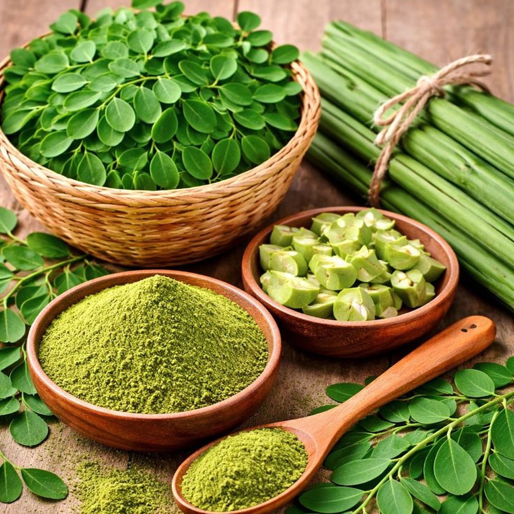 Moringa Image