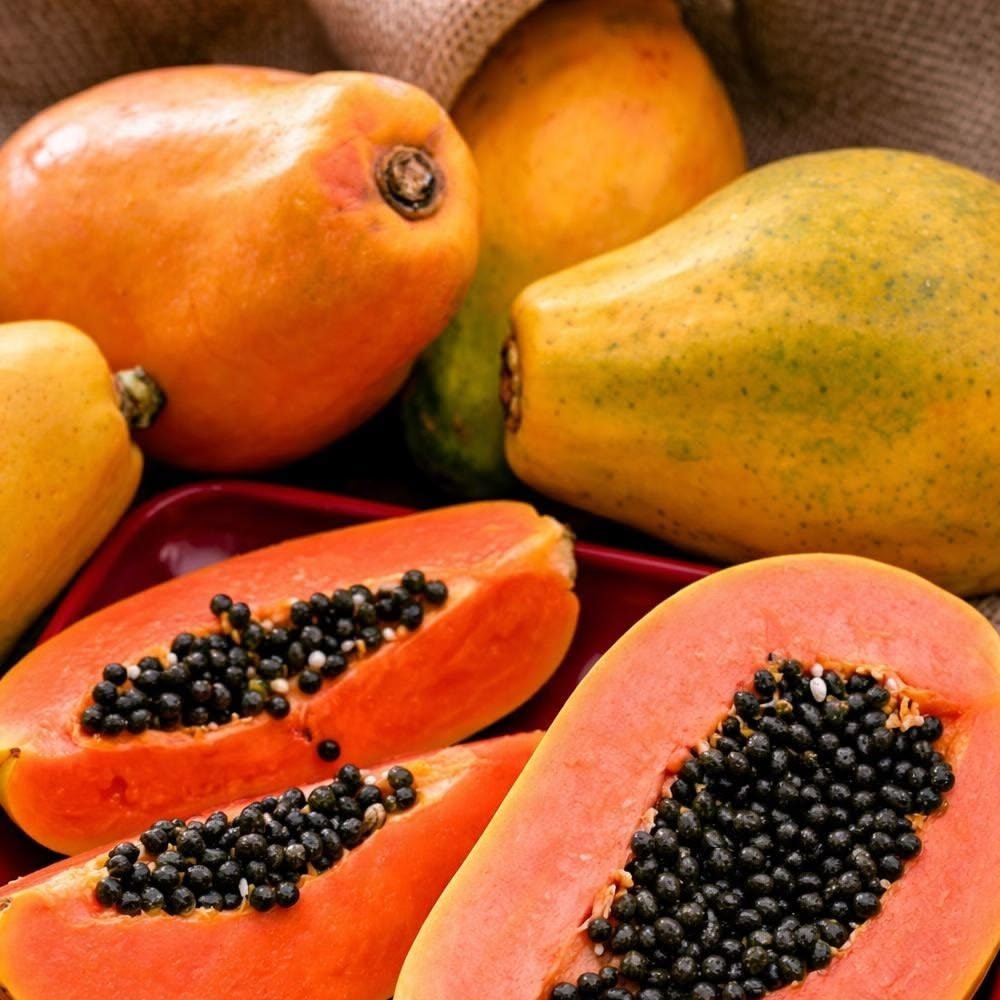 PAPAYA Image